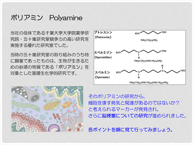 ポリアミン（Polyamine） 